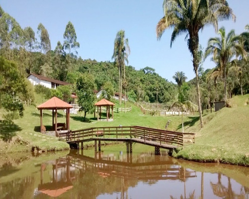 Imagem 1 de 30 de Sitio À Venda Em Juquitiba, - 21 - 32982657
