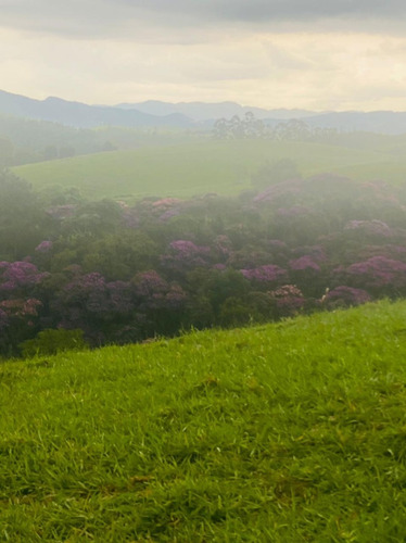 Imagem 12 de 23 de C02 - Terreno Com Acesso A Represa