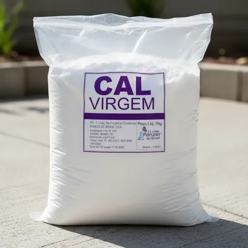 Cal Virgem