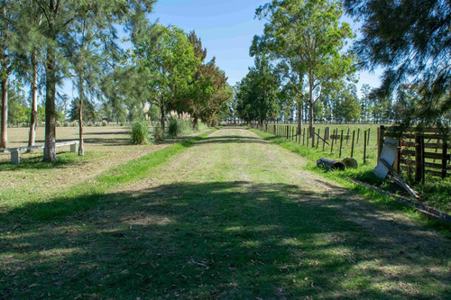 Venta Excepcional Predio De 23 Hectareas