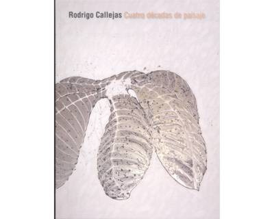 Rodrigo Callejas. Cuatro Décadas De Paisaje