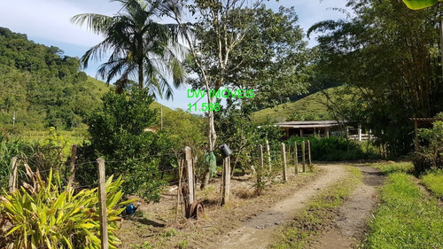 Imagem 26 de 30 de Juquiá/sitio Com Pupunha/ Pasto E 05 Lagos Para Pesqueiro - 04857 - 34121206