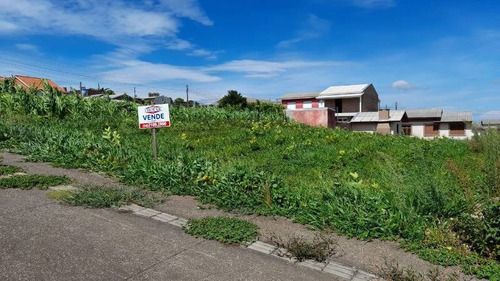 Imagem 4 de 4 de Terreno - Monte Verde - Ref: 8228 - V-8228