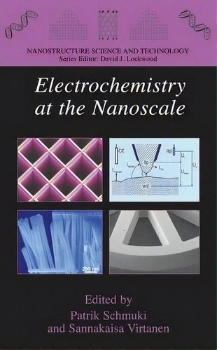 Electrochemistry At The Nanoscale, De Patrik Schmuki. Editorial Springer Verlag New York Inc, Tapa Dura En Inglés