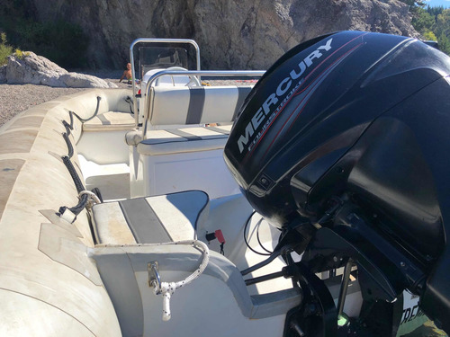 Semirrígido Viking Motor Mercury 60 4t
