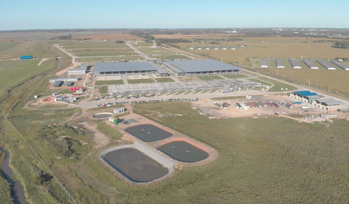 Imagen 3 de 6 de Lote Logistica Transp. De Ganado, Mercado Cañuelas
