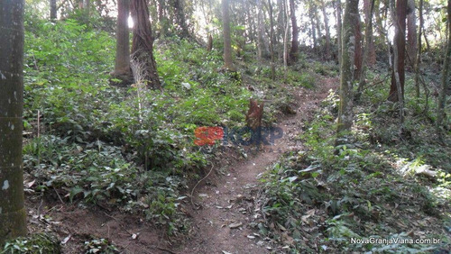 Imagem 3 de 6 de Terreno Comercial À Venda, Nova Higienópolis, Jandira - Te0174. - Te0174