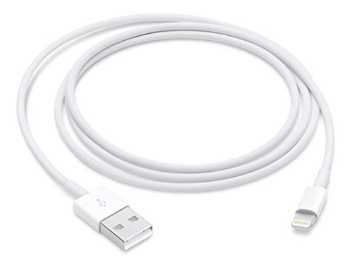 Apple Lightning To Usb Cable (1 M)