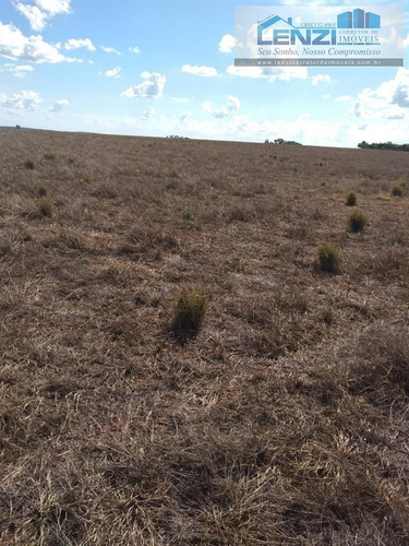Imagem 20 de 29 de Fazendas À Venda Em Cacu/go - Compre O Seu Fazendas Aqui! - 1479755