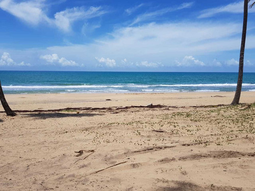 Terreno Con Frente A Playa En Costa Esmeralda  En Miches