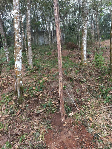 Imagem 1 de 12 de Terreno Mairiporã 800 Metros
