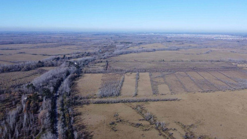 Imagen 11 de 13 de Venta 8 Hectareas En Seccion 1 De Islas Del Parana