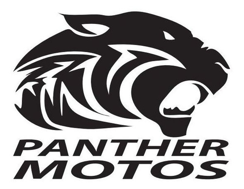 Destellador Giro Honda Rvt R 1000 De 2000 A 2001. En Panther