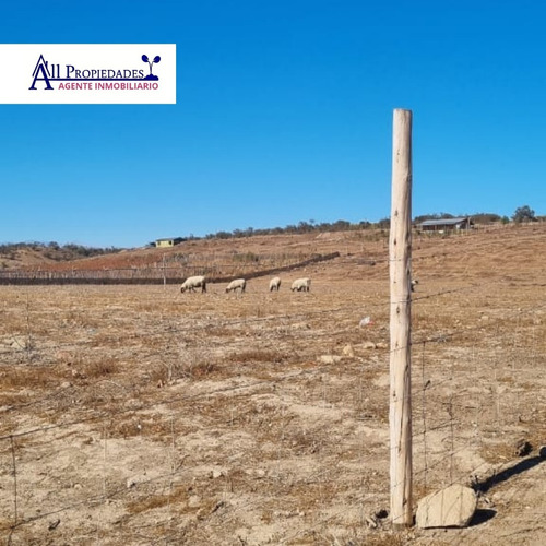Imagen 3 de 3 de Terreno En Punitaqui, Sector El Ciénago