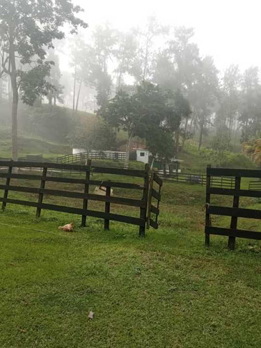 Finca Con Excelente Clima De Montaña,  Páramos De Montalbán.