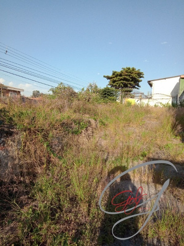 Imagem 9 de 9 de Terreno No Bairro Presidente Altino De 400m², Excelente Localização Próximo A Mercado, Padaria, Farmácia Sacolão Hospital Acesso Fácil As Marginais - Te00035 - 69881096