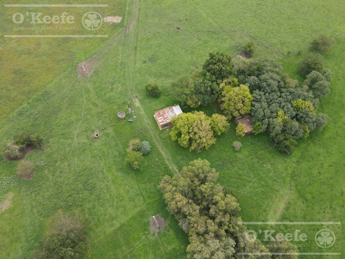 Imagen 2 de 25 de Campo Mixto De 75 Has - Buen Acceso A 3 Km De Ruta 215 - A 1 Hs De Caba