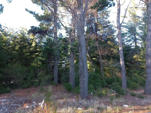 Imagen 3 de 4 de Terreno - Bariloche