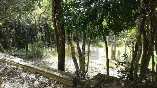 Imagem 23 de 24 de Casa Em Fase De Acabamento - Parque Florestal - Ca0892