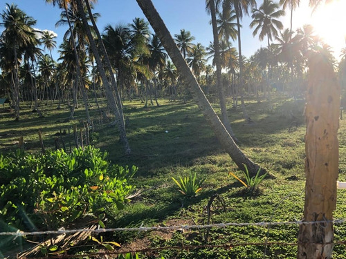 Vendo Terreno En Playa El Limón En Miches Con Frente De Playa 