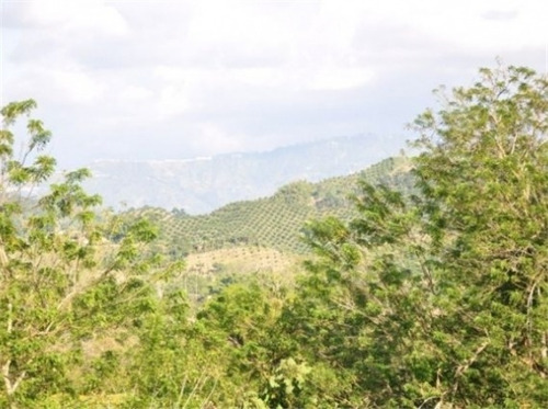 Imagen 11 de 29 de Venta Finca En Santagueda. Cod:305599