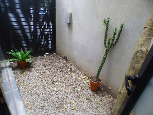 Imagen 12 de 13 de Local En Venta En La Plata Calle 11 E/ 60 Y 61 Dacal Bienes Raices