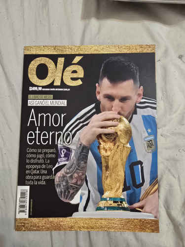 Lote Libro Y Revistas Selección Argentina Campeon Del Mundo (Usado)