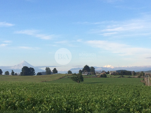 21071 - Los Laureles De Maullin En Linea Nueva