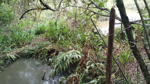 Vende-se Sítio Com Área Total De 14.6 Hectares