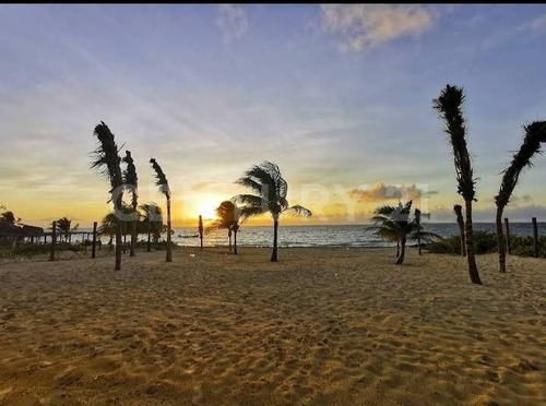 Imagen 12 de 15 de Venta De Terreno Turistico Hotelero En Isla Blanca Cancún Ce23822