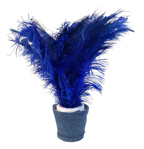 Plumas De Avestruz Palito Ideal P/ Trajes De Carnaval 100g Cor Azul Royal