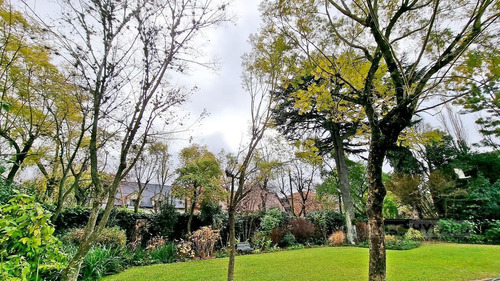 Imagen 8 de 13 de Terreno En Venta - Las Lomas-horqueta