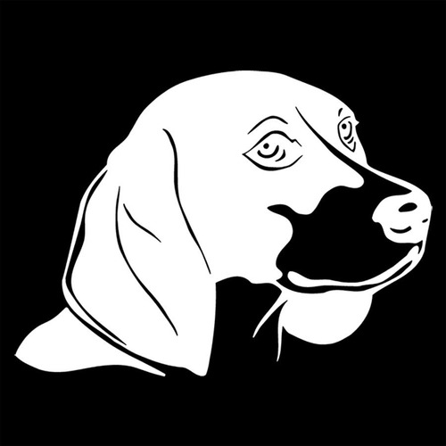Adesivo De Parede 83x115cm - Beagle Dog Cachorro Pets