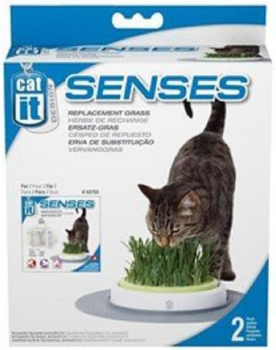 Design Senses Grass Garden Refill Kit 2pack