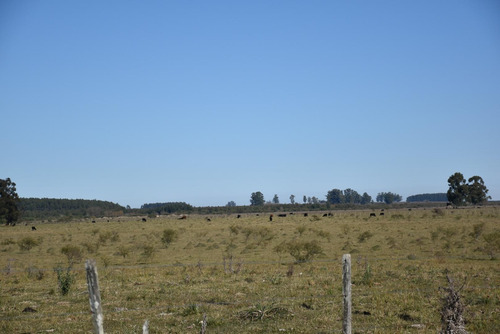 Imagen 17 de 22 de Campo Mixto En Venta Estación Yeruá