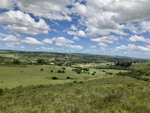 Imagen 19 de 21 de Venta Chacra Sierra Ruta 39 Aigua Sierra De Los Caracoles Maldonado