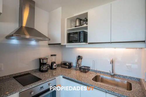Imagen 7 de 7 de Apartamento Monoambiente