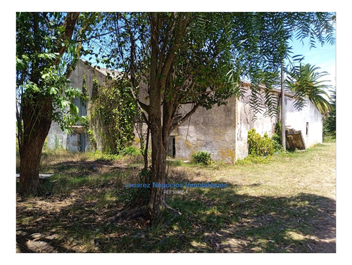 Imagen 8 de 22 de Js: Venta Excelente Chacra Abayuba Cw189854