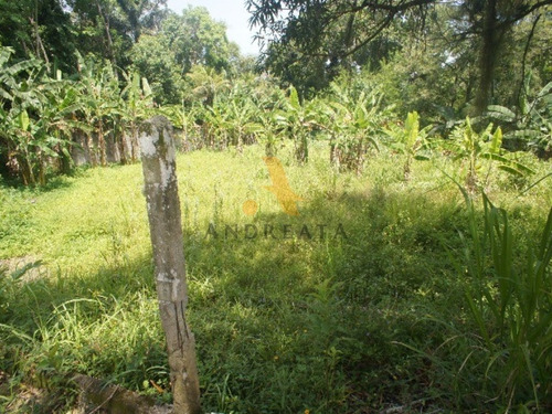 Imagem 29 de 30 de Varem Pequena - Rua Hélio Oiticica - Maravilhoso Sitio Em Local Bucólico, Com Área Total De Terreno Cm 28.120m². - Sqa0090l - 32057997