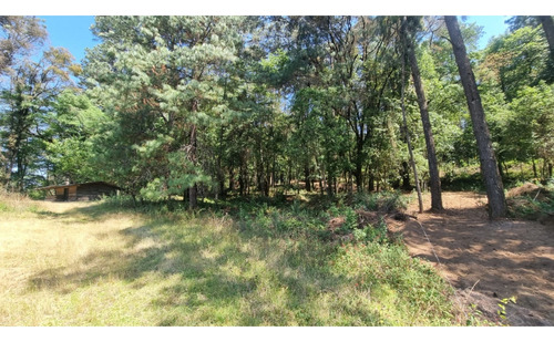 Proyecto Nuevo En Venta, Amento