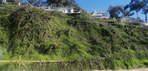 Excelente Sitio En Primera Línea Av. Borgoño