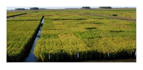 Imagen 11 de 21 de Terreno Campo En Venta Ubicado En Montevideo, Montevideo