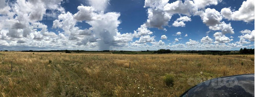 Campo- José Ignacio