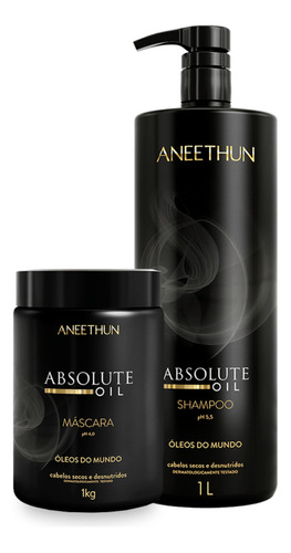 Kit Shampoo Oil Absolute E Máscara Hidratante Aneethun Litro