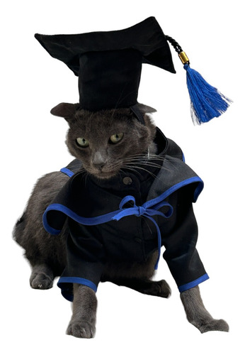 Disfraz De Graduado Para Mascotas Talla 1
