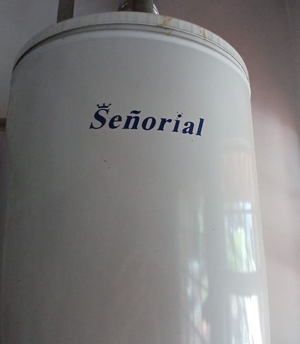Termotanque Señorial 50 Litros Bigas Blanco (Usado)