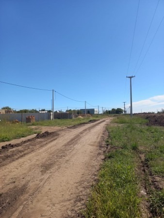 Imagen 9 de 14 de Terreno En Alvarez