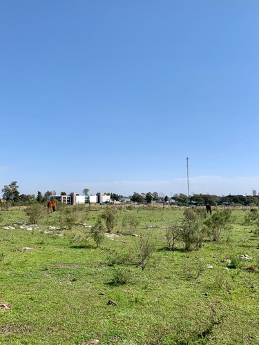 En Venta Chacra En Salto. Ruta 3 ¡atención Inversores Y Empresarios!