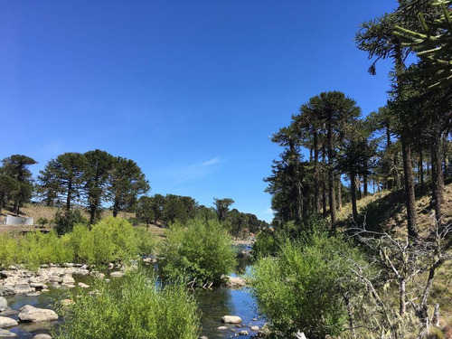 Hermoso Terreno A Orilla De Rio Bio Bio Araucania ...