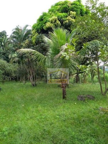Chácara Com 3 Dormitórios À Venda, 3500 M² - Três Barras - Pedro De Toledo/sp - Ch0135